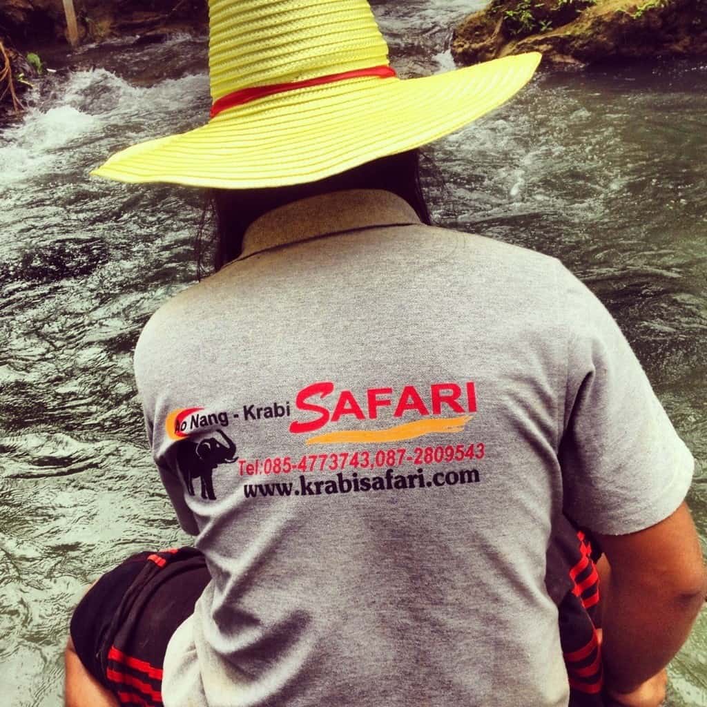 Nature Elephant Trekking