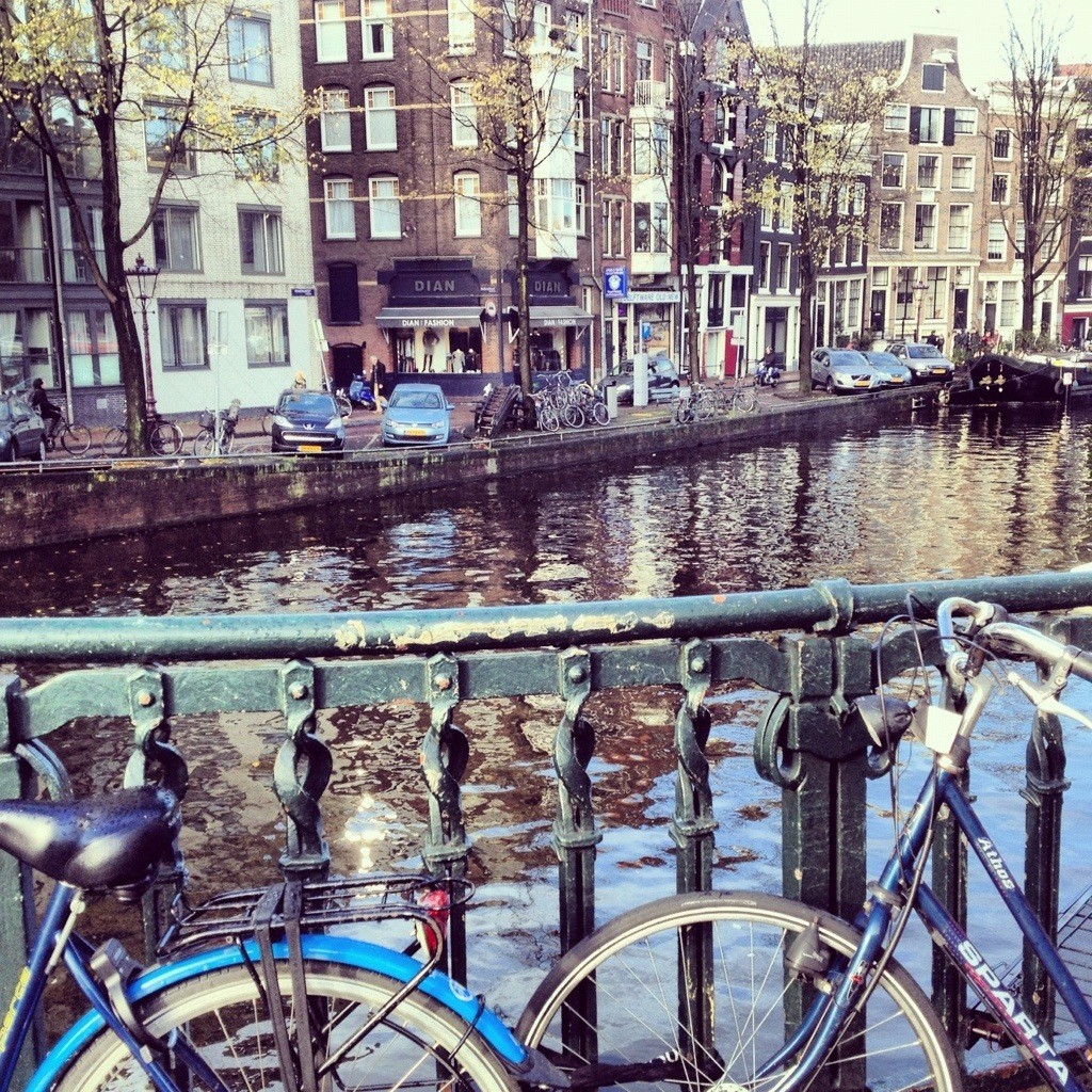 Amsterdam, the provocation of no rules