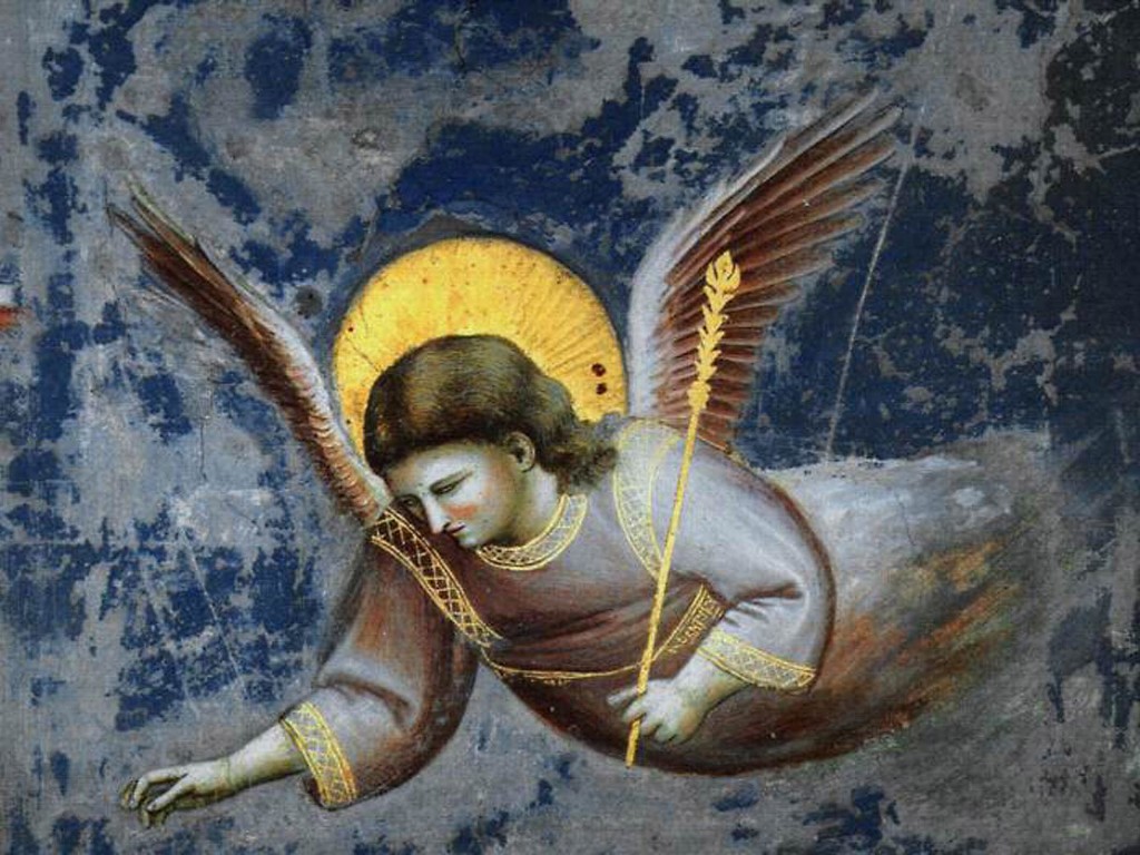 giotto_angel