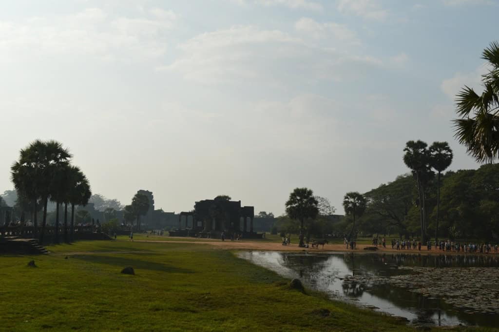 20140124-211748.jpg