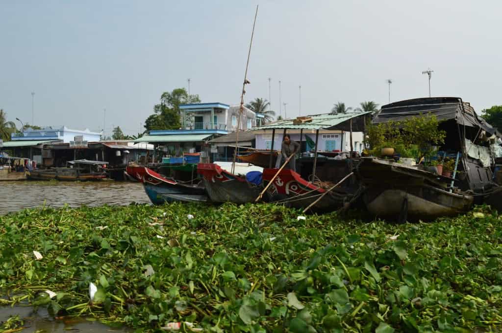 20140129-120935.jpg