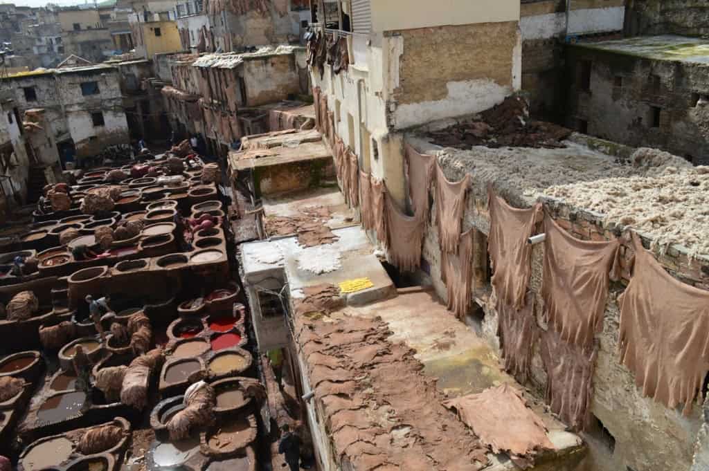 Fes tannery