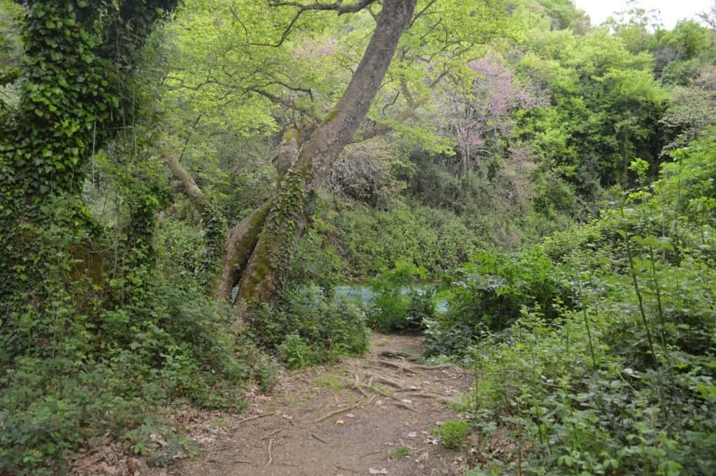 20140430-122532.jpg