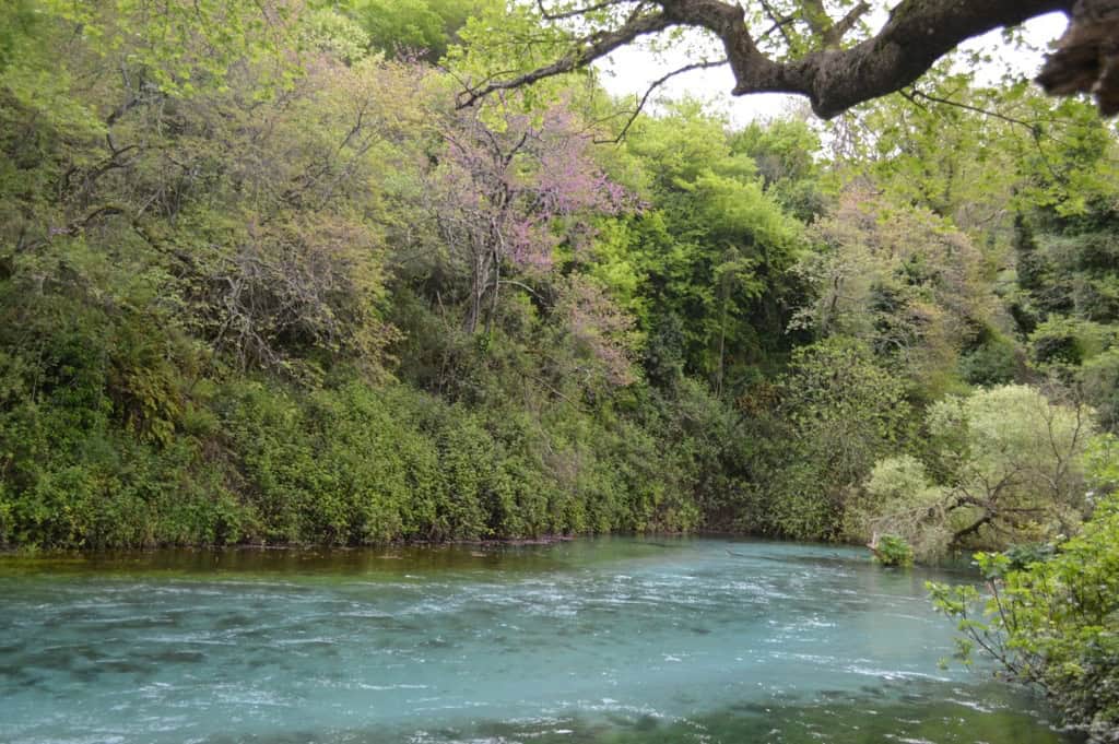 20140430-122605.jpg