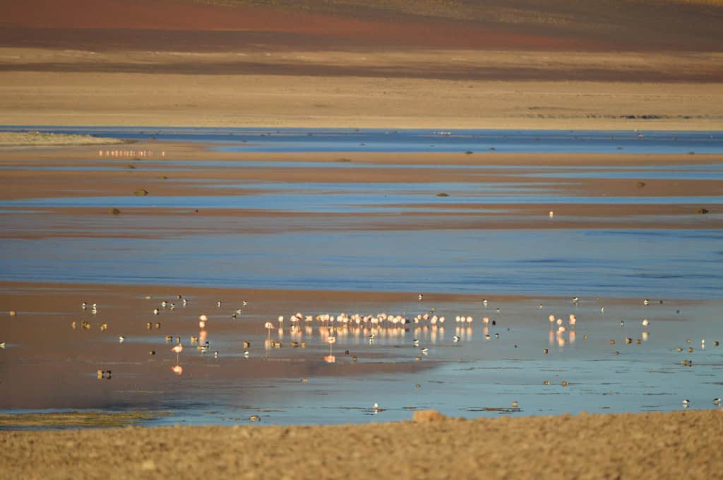 The most beautiful landscapes of southern Bolivia