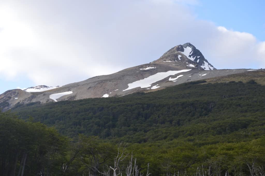 Looking for beavers, Patagonia