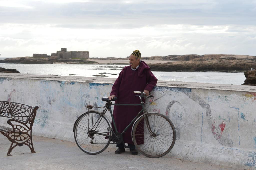 Essaouira and the incredible climbing goats