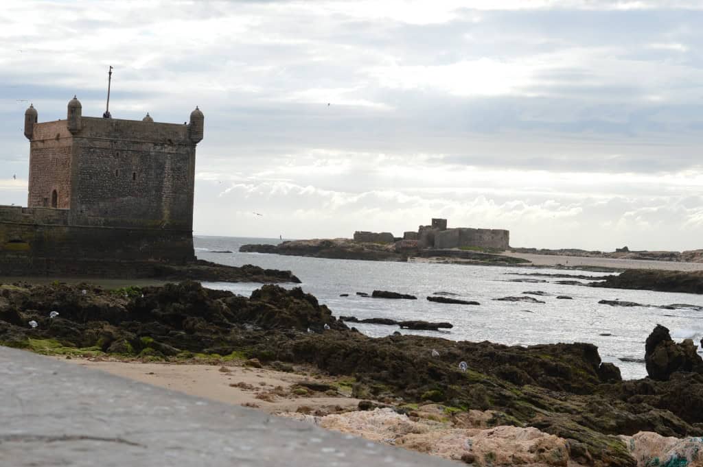 Essaouira and the incredible climbing goats