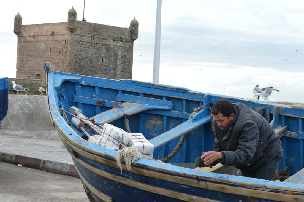 Essaouira and the incredible climbing goats