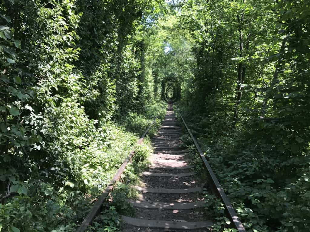 Exploring the Enchanting Love Tunnel in Ukraine