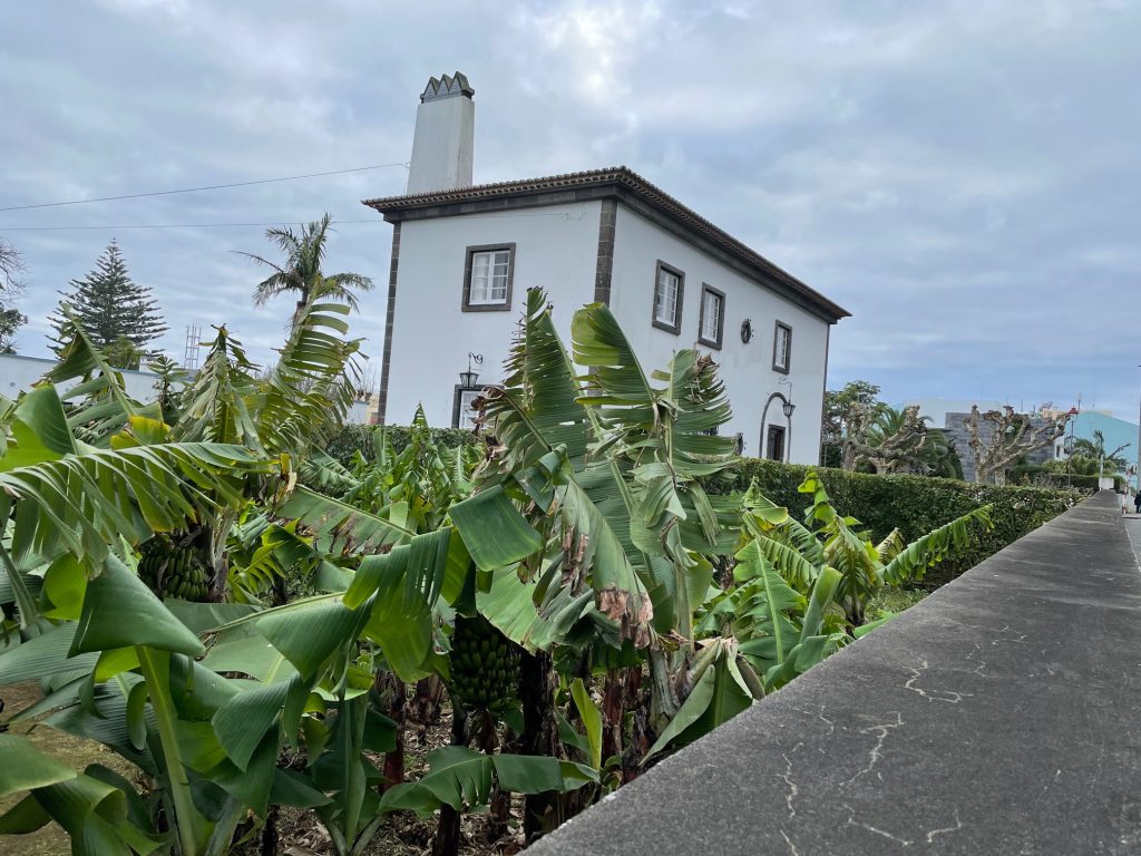 The Best of Ponta Delgada: A 24-Hour Guide