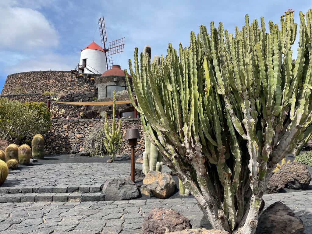 Cactus Garden by Cesar Manrique