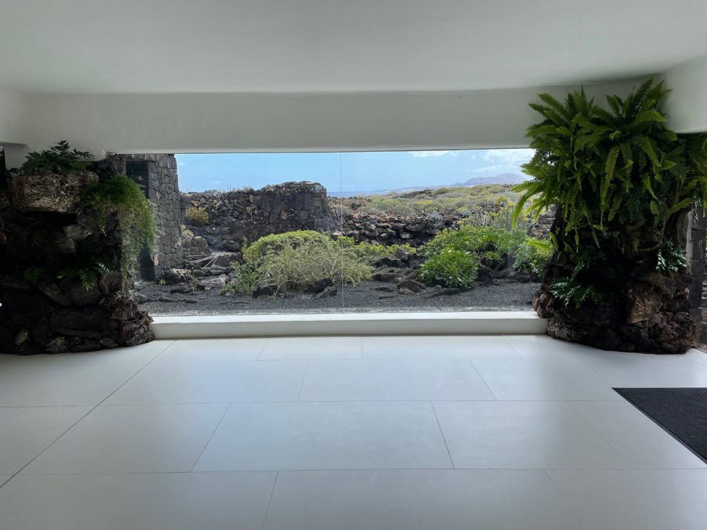 Jameos del Agua - Your Lanzarote Guide for the Best Road Trip