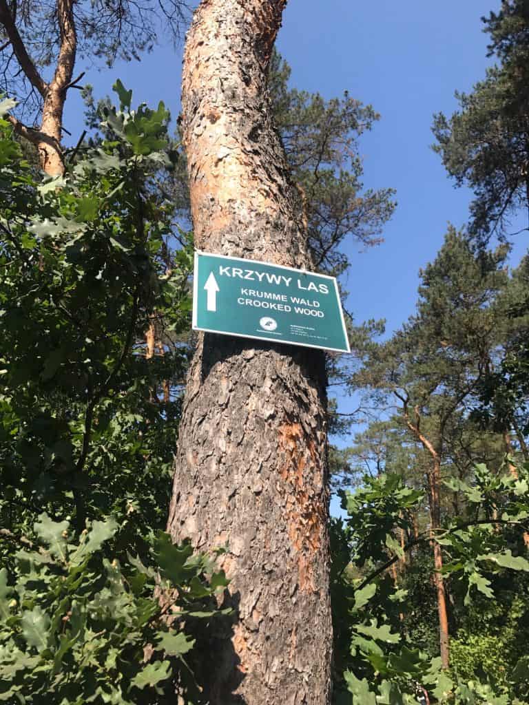 Exploring Slowinski Park and Strange Crooked Forest