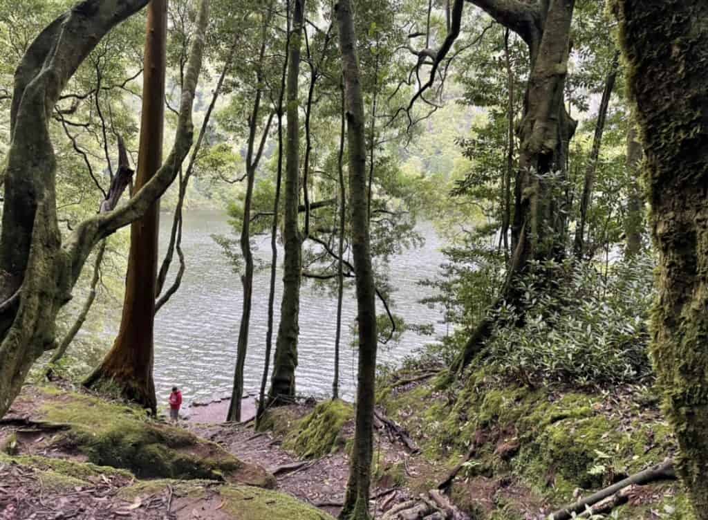 Unforgettable Road Trip in Azores, São Miguel Island