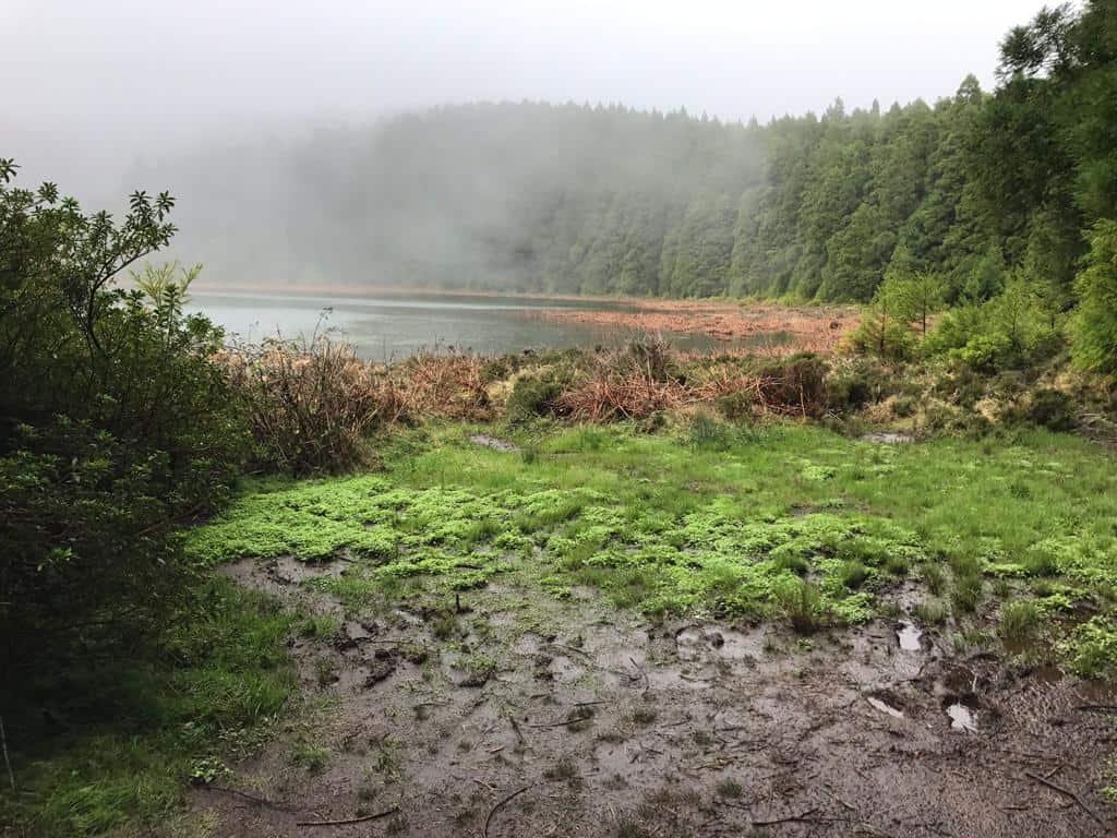 Unforgettable Road Trip in Azores, São Miguel Island