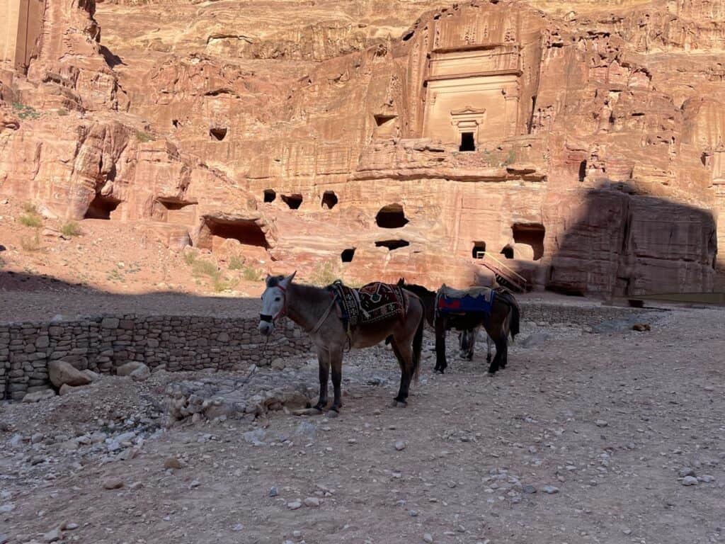 A Journey Through Time in Petra